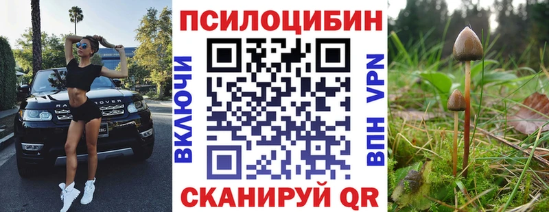 цены   Вичуга  Галлюциногенные грибы Psilocybine cubensis 